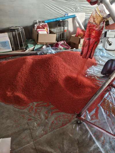 四冠包衣拌种，防虫防病壮苗增产。