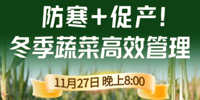 《细说农技》专家张宝林教冬季蔬菜防寒 + 促产高效管理，27 日晚 8 点！