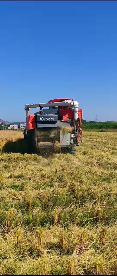 惠州基地，无人拖拉机收水稻了。