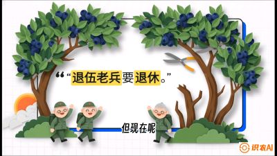 第7节：修剪决定产量（下）&mdash;&mdash;结果树的更新与疏果，课程：《蓝莓&ldquo;高产&rdquo;实战课：从选苗到丰收的10个关键点》