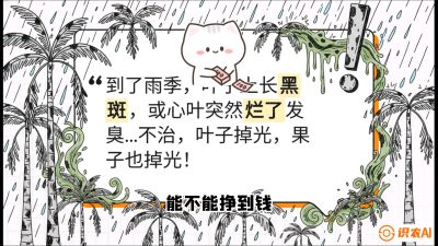 第05节：常见真菌病害&mdash;&mdash;&ldquo;炭疽与烂心，早防值千金&rdquo;《槟榔种植：从不懂到精通的10堂必修课》