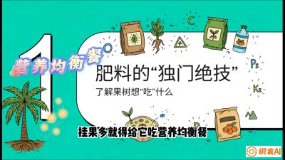 第07节：科学施肥&mdash;&mdash;&ldquo;氮磷钾配好，树壮果不倒