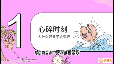 第08节：微量元素与保果&mdash;&mdash;&ldquo;补硼又补钙，果子不裂坏&rdquo;《槟榔种植：从不懂到精通的10堂必修课》