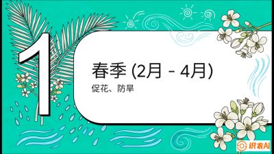 第10节：周年农事日历&mdash;&mdash;&ldquo;跟着节气走，丰产在手头&rdquo;《槟榔种植：从不懂到精通的10堂必修课》