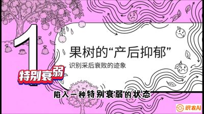 第2节：【冬肥策略】采后&ldquo;月子肥&rdquo;：大小年的精准干预术，课程：《柑橘底肥&ldquo;翻身账&rdquo;：从改土到高产的实战全书》