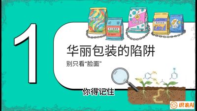 第4节：【黄金配方】底肥里的&ldquo;铁三角&rdquo;与&ldquo;微量雷区&rdquo;课程：《柑橘底肥&ldquo;翻身账&rdquo;：从改土到高产的实战全书》