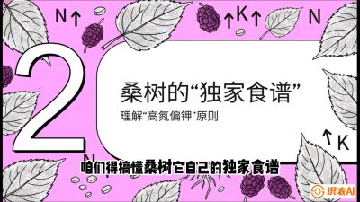 第04节：地下核动力&mdash;&mdash;桑树专用水肥一体化配方，课程：《桑海淘金：桑树高产与蚕桑安全进阶实战课》