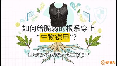 第三节：国产榴莲突围战：根系堡垒，菌根微生态构建与黄金定植窗口，课程：《国产榴莲突围战：从泰国经验到中国实操的8堂必修课（高阶实战版）》
