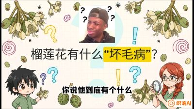 第六节：榴莲的午夜战事，夜间授粉战与花果期避雨策略，课程：《国产榴莲突围战：从泰国经验到中国实操的8堂必修课（高阶实战版）》