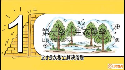 第七节：榴莲防御战：病虫害三级立体防控，疫霉菌与虫害的立体封锁线，课程：《国产榴莲突围战：从泰国经验到中国实操的8堂必修课（高阶实战版）》