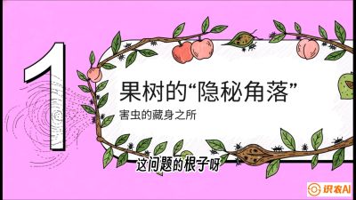 第3节：无人机专治&ldquo;打不透&rdquo;&mdash;&mdash;果树与高杆作物的穿透技巧，课程：《无人机植保搞钱必修课：从&ldquo;瞎飞&rdquo;到&ldquo;懂行&rdquo;的6步进阶》