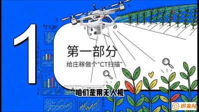 第5节：无人机也能&ldquo;看病抓药&rdquo;&mdash;&mdash;处方图与变量施肥入门，课程：《无人机植保搞钱必修课：从&ldquo;瞎飞&rdquo;到&ldquo;懂行&rdquo;的6步进阶》
