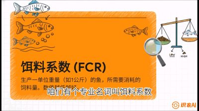 第五节：【高端单品&middot;鳜鱼】&ldquo;饲料鳜&rdquo;技术：打破吃活饵的高成本魔咒，课程：《黄金鳞甲：2025中国淡水鱼高效养殖实战营》