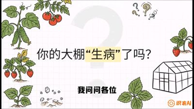 第2节（解毒篇）： 大棚里的&ldquo;红白绿&rdquo;警报&mdash;&mdash;读懂土壤盐渍化的求救信号，课程：《揭秘土壤的秘密：让土地帮你赚钱》#识农AI