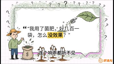 第4节（活化篇）： 土壤里的&ldquo;雇佣兵&rdquo;&mdash;&mdash;如何用菌剂以小博大，解决死棵难题，课程：《揭秘土壤的秘密：让土地帮你赚钱》#识农AI
