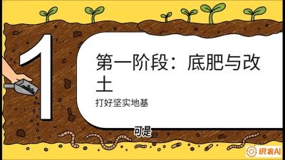 第6节（统筹篇）： 省钱又增产的&ldquo;黄金配比&rdquo;&mdash;&mdash;不同作物全年的养土实操方案，课程：《揭秘土壤的秘密：让土地帮你赚钱》#识农AI