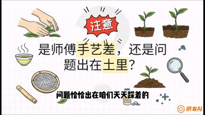 第02节（土肥篇）：告别&ldquo;苦涩水味&rdquo;：揭秘&ldquo;碳氮比&rdquo;调控术，种出自带兰花香的好茶底，课程：《茶金时代：从&ldquo;看天吃饭&rdquo;到&ldquo;精准控局&rdquo;的茶叶高产提质实战课》