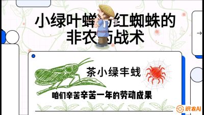 第03节（虫害篇）：看不见的吸血鬼：小绿叶蝉与红蜘蛛的&ldquo;非农药&rdquo;团灭战术（抗性治理），课程：《茶金时代：从&ldquo;看天吃饭&rdquo;到&ldquo;精准控局&rdquo;的茶叶高产提质实战课》