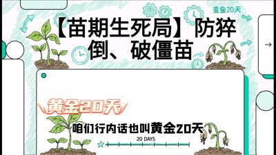 第2节：【苗期生死局】防猝倒、破僵苗，决定后期产量的&ldquo;黄金20天&rdquo;，课程：《辣椒种植实战特训营，从工业辣椒到精品小米辣，教你如何把&ldquo;草&rdquo;种成&ldquo;金&rdquo;》
