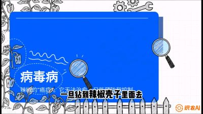 第5节：【病毒病阻击】辣椒的&ldquo;癌症&rdquo;怎么治？从&ldquo;绝收恐慌&rdquo;到&ldquo;带毒生产&rdquo;的逆转术，课程：《辣椒种植实战特训营，从工业辣椒到精品小米辣，教你如何把&ldquo;草&rdquo;种成&ldquo;金&rdquo;》