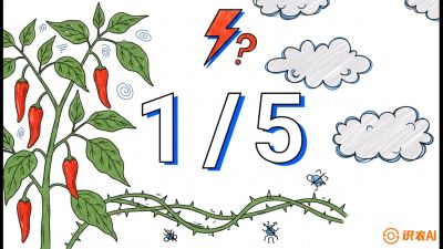 第6节：【花果爆发术】落花落果的五大元凶，与&ldquo;三喷一保&rdquo;坐果黑科技，课程：《辣椒种植实战特训营，从工业辣椒到精品小米辣，教你如何把&ldquo;草&rdquo;种成&ldquo;金&rdquo;》