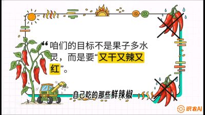 第7节：【工业辣椒专场】追求极致辣度！干物质提升与机械化采收的&ldquo;催红秘籍&rdquo;，课程：《辣椒种植实战特训营，从工业辣椒到精品小米辣，教你如何把&ldquo;草&rdquo;种成&ldquo;金&rdquo;》