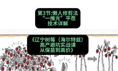 第三节： 懒人修剪法&mdash;&mdash;&ldquo;一推光&rdquo;平茬技术详解，课程：《辽宁树莓（海尔特兹）高产避坑实战课：从保苗到高价》