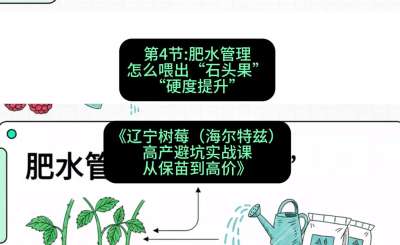 第四节： 肥水管理&mdash;&mdash;怎么喂出&ldquo;石头果&rdquo;（硬度提升），课程：《辽宁树莓（海尔特兹）高产避坑实战课：从保苗到高价》