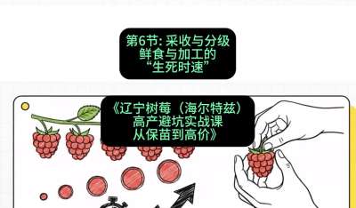 第六节： 采收与分级&mdash;&mdash;鲜食与加工的&ldquo;生死时速&rdquo;，课程：《辽宁树莓（海尔特兹）高产避坑实战课：从保苗到高价》