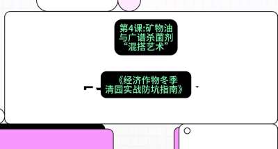 第4节：【替代方案】矿物油与广谱杀菌剂的&ldquo;混搭艺术&rdquo;，课程：《经济作物冬季清园&middot;实战防坑指南》#识农AI