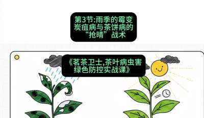 第03节：雨季的霉变&mdash;&mdash;炭疽病与茶饼病的&ldquo;抢晴&rdquo;战术，课程：《茗茶卫士&mdash;&mdash;茶叶病虫害绿色防控实战课》#识农AI