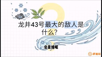 第04节：龙井双璧&mdash;&mdash;龙井43与群体种的差异化护养（重点），课程：《茗茶卫士&mdash;&mdash;茶叶病虫害绿色防控实战课》#识农AI