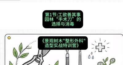 第01节：工欲善其事&mdash;&mdash;园林&ldquo;手术刀&rdquo;的选择与消毒，课程：《景观树木&ldquo;整形外科&rdquo;造型实战特训营》#识农AI