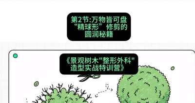 第02节：万物皆可盘&mdash;&mdash;&ldquo;精球形&rdquo;修剪的圆润秘籍，课程：《景观树木&ldquo;整形外科&rdquo;造型实战特训营》#识农AI