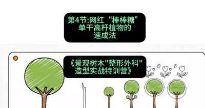 第04节：网红&ldquo;棒棒糖&rdquo;&mdash;&mdash;单干高杆植物的速成法，课程：《景观树木&ldquo;整形外科&rdquo;造型实战特训营》#识农AI