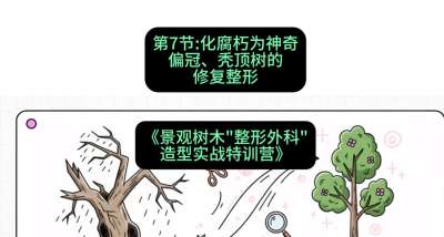 第07节：化腐朽为神奇&mdash;&mdash;偏冠、秃顶树的修复整形，课程：《景观树木&ldquo;整形外科&rdquo;造型实战特训营》#识农AI