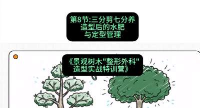 第08节：三分剪七分养&mdash;&mdash;造型后的水肥与定型管理，课程：《景观树木&ldquo;整形外科&rdquo;造型实战特训营》#识农AI