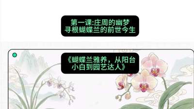 第一节：庄周的幽梦：寻根蝴蝶兰的前世今生，课程：《蝴蝶兰雅养六讲：从阳台小白到园艺达人》#识农AI