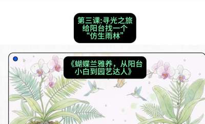 第三节：寻光之旅：给阳台找一个&ldquo;仿生雨林&rdquo;，课程：《蝴蝶兰雅养六讲：从阳台小白到园艺达人》#识农AI
