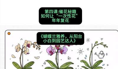 第四节：催花秘籍：如何让&ldquo;一次性花&rdquo;年年复花，课程：《蝴蝶兰雅养六讲：从阳台小白到园艺达人》#识农AI