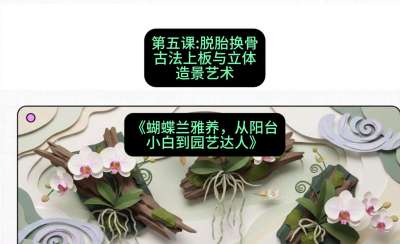 第五节：脱胎换骨：古法上板与立体造景艺术，课程：《蝴蝶兰雅养六讲：从阳台小白到园艺达人》#识农AI